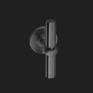 JNF Serie 226 Train Deurkruk T model op rozet, Titanium Black